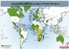 2017 Treaty Status Cluster Munitions